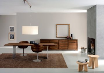 Wenge în interior: 160+ (Photo) combinații de culori cu mobilier (design de living, dormitor, hol)