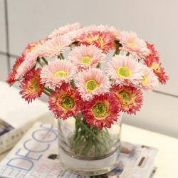 Λουλούδια στο εσωτερικό: 175+ (Φωτογραφίες) Όμορφους συνδυασμούς (στο καθιστικό, στο υπνοδωμάτιο, στην κουζίνα)