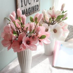 Fleurs à l'intérieur: 175+ (Photos) Belles combinaisons (dans le salon, la chambre à coucher, la cuisine)