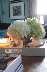 इंटीरियर में फूल: 175+ (फोटो) सुंदर संयोजन (लिविंग रूम, बेडरूम, रसोई में)