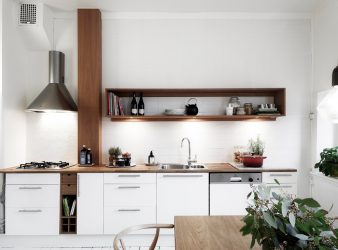 Wie erstelle ich eine enge und lange Küche: Nuancen und Tricks für ein kleines Interieur (175+ Fotos)