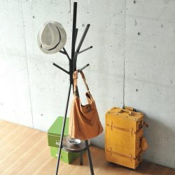 Wall Hanger face-te singur pe hol: cu o cutie de pantofi, cu un raft, cu cârlige. Uitați de lipsa de spațiu!
