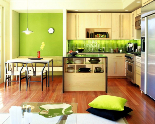 Yerleşik mutfaklarda özellik (150+ Fotoğraf): Bir teknik nasıl seçilir? (buzdolabı, fırın, aspiratör)