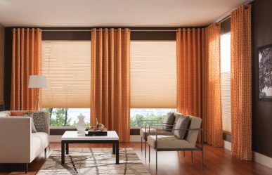 ما هي الستائر على النوافذ (200+ صور): خيارات تصميم متنوعة لمنزلك