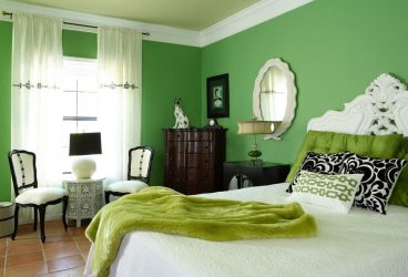 Πράσινες ταπετσαρίες: 200+ Σχεδιάστε φωτογραφίες για το εσωτερικό σας. Τι ταπετσαρίες είναι κατάλληλες για τοίχους στο υπνοδωμάτιο, κουζίνα, σαλόνι;