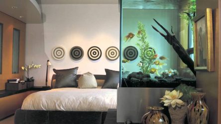 Аквариум във вътрешността на апартамент или къща: 145+ (Фото) видове за декорация на вашия дизайн (ъгъл, суха, разделителна стена, малка)
