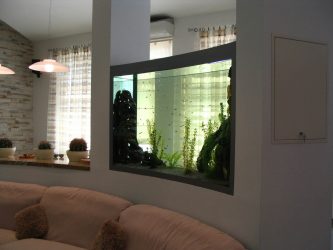 Acuario en el interior de un apartamento o casa: 145+ (foto) tipos para la decoración de su diseño (esquina, seco, pared divisoria, pequeño)