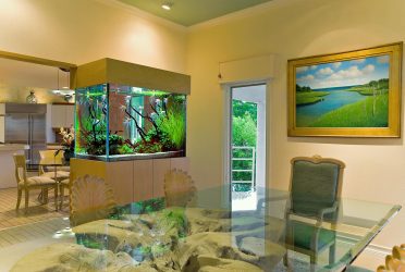 Bể cá trong nội thất căn hộ hoặc nhà ở: 145+ (Ảnh) để trang trí cho thiết kế của bạn (góc, tường khô, vách ngăn, nhỏ)