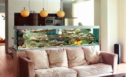 Acquario all'interno di un appartamento o di una casa: 145+ (Foto) tipi per la decorazione del vostro disegno (angolo, asciutto, divisorio, piccolo)