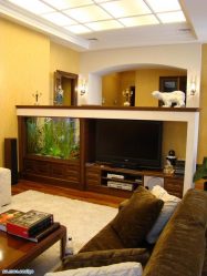 Bir apartman veya evin içindeki akvaryum: Tasarımınızın dekorasyonu için 145+ (Fotoğraf) tipleri (köşe, kuru, bölme duvarı, küçük)