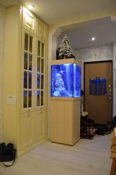 Aquarium in het interieur van een appartement of huis: 145+ (foto) soorten voor decoratie van uw ontwerp (hoek, droog, scheidingswand, klein)