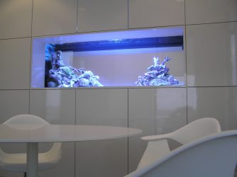 Aquarium in the interior of an apartment or house: 145+ (Photo) types for decoration of your design (corner, dry, dividing wall, small)