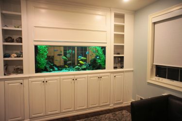 حوض السمك في الجزء الداخلي للشقة أو المنزل: 145+ (صور) أنواع للزينة من التصميم الخاص بك (الزاوية والجافة والجدار الفاصل ، صغير)