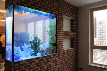 Bir apartman veya evin içindeki akvaryum: Tasarımınızın dekorasyonu için 145+ (Fotoğraf) tipleri (köşe, kuru, bölme duvarı, küçük)