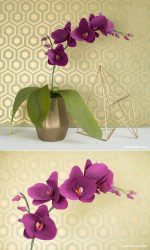 How to make Bulk crafts from paper with your own hands? 6 Step-by-step master classes for your decor