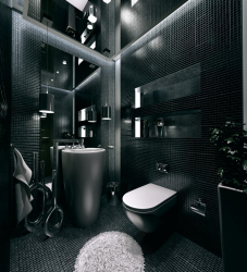 Tendencias en el interior del baño negro: más de 250 (foto) tendencias de moda.