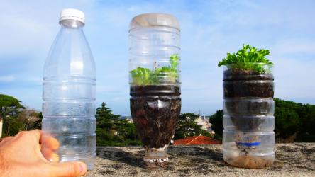 Was kann man mit eigenen Händen aus Plastikflaschen machen: 12 Schritt für Schritt Anleitung
