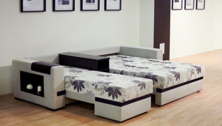 How to choose a sofa bed with orthopedic mattress for daily use? 180+ Photos