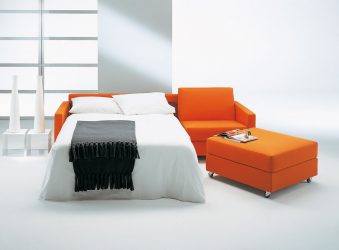 วิธีการเลือกเตียงโซฟาด้วยที่นอนกระดูกสำหรับการใช้งานในชีวิตประจำวัน? รูปภาพมากกว่า 180 รูป