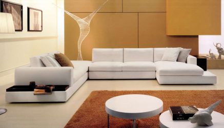 Ghế sofa trong nội thất phòng khách (hơn 200 hình ảnh): những điểm chính của sự lựa chọn để tạo ra sự ấm cúng