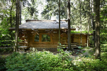 Casa en el bosque: ¿Qué estilo es mejor elegir? 230+ (Fotos) de soledad y confort. Y que te gustaria