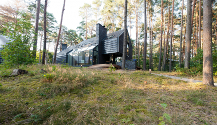 Rumah di hutan: gaya mana yang terbaik untuk dipilih? 230+ (Foto) kesendirian dan keselesaan. Dan apa yang anda mahu?