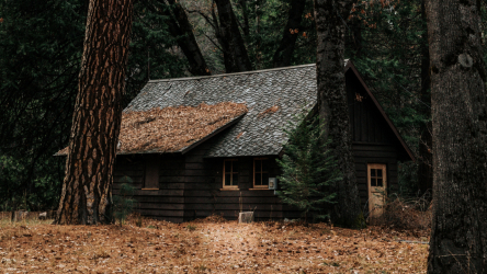 Hus i skogen: vilken stil är bäst att välja? 230 + (Foton) av ensamhet och komfort. Och vad vill du ha?