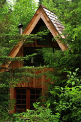 Maison dans la forêt: quel style choisir? 230+ (Photos) de solitude et de confort. Et qu'aimerez-vous?