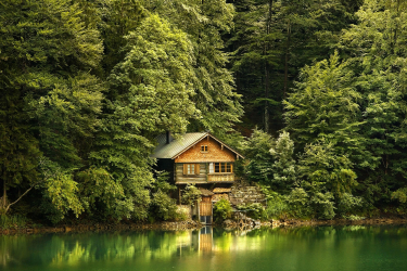 Casa nella foresta: quale stile è meglio scegliere? 230+ (foto) di solitudine e conforto. E cosa ti piacerà?