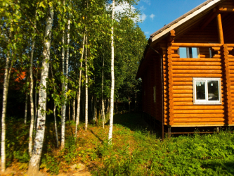 Haus im Wald: Welcher Stil ist am besten zu wählen? 230+ (Fotos) von Einsamkeit und Komfort. Und was magst du?