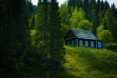 Casa na floresta: qual estilo é melhor escolher? 230+ (fotos) de solidão e conforto. E o que você vai gostar?