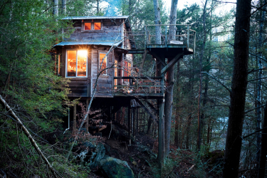 House in the forest: which style is best to choose? 230+ (Photos) of solitude and comfort. And what will you like?