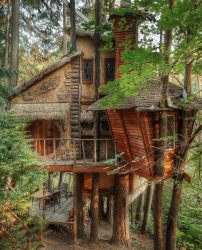 Ormandaki ev: Hangi tarzı seçmek en iyisidir? 230+ (Fotoğraflar) yalnızlık ve konfor. Ve ne seveceksin?
