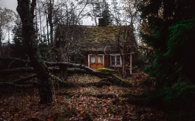 Huis in het bos: welke stijl is het beste om te kiezen? 230+ (Foto's) van eenzaamheid en comfort. En wat wil je?