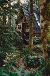 Casa en el bosque: ¿Qué estilo es mejor elegir? 230+ (Fotos) de soledad y confort. Y que te gustaria