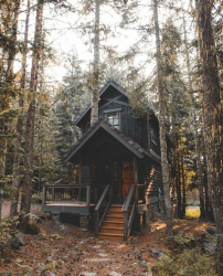 Haus im Wald: Welcher Stil ist am besten zu wählen? 230+ (Fotos) von Einsamkeit und Komfort. Und was magst du?