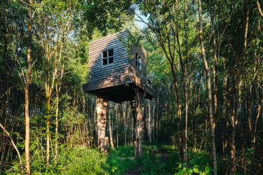 Ngôi nhà trong rừng: chọn phong cách nào là tốt nhất? 230+ (Ảnh) cô đơn và thoải mái. Và bạn sẽ thích gì?