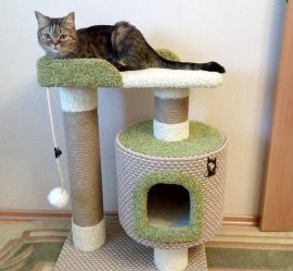 단계별로 자신의 손으로 고양이를위한 집을 만드는 방법? 나무, 판지, 상자, 스크레이퍼가있는 150+ (사진)
