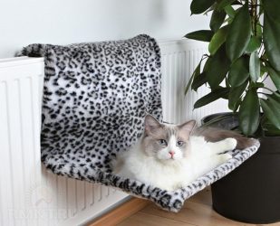 Cum sa faci o casa pentru o pisica cu mainile tale pas cu pas? 150+ (fotografie) din lemn, carton, cutii, cu racleta