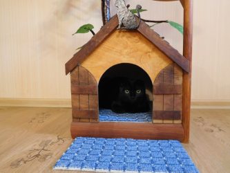 Como fazer uma casa para um gato com suas próprias mãos passo a passo? 150+ (foto) de madeira, papelão, caixas, com um raspador