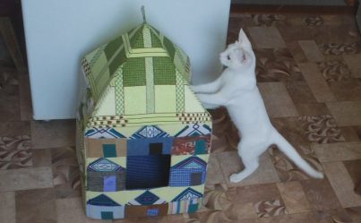 Como fazer uma casa para um gato com suas próprias mãos passo a passo? 150+ (foto) de madeira, papelão, caixas, com um raspador