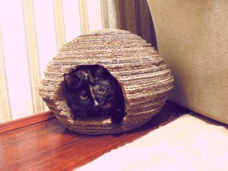 Wie mache ich Schritt für Schritt ein Haus für eine Katze mit eigenen Händen? 150+ (Foto) aus Holz, Pappe, Kartons, mit einem Schaber