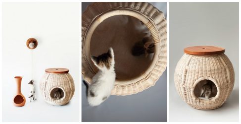 วิธีการสร้างบ้านสำหรับแมวด้วยมือของคุณเองทีละขั้นตอน? 150+ รูปถ่ายจากไม้กระดาษแข็งกล่องพร้อมมีดโกน