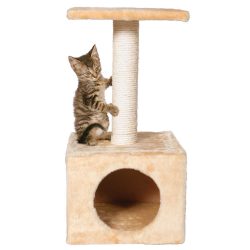 Hoe maak je stap voor stap een huis voor een kat met je eigen handen? 150+ (foto) van hout, karton, dozen, met een schraper