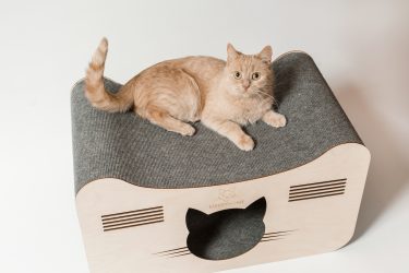 Как да си направим къща за котка със свои ръце стъпка по стъпка? 150+ (снимка) от дърво, картон, кутии, със скрепер