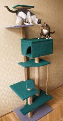 단계별로 자신의 손으로 고양이를위한 집을 만드는 방법? 나무, 판지, 상자, 스크레이퍼가있는 150+ (사진)