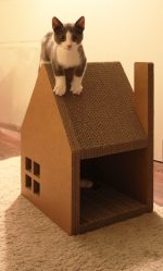 Wie mache ich Schritt für Schritt ein Haus für eine Katze mit eigenen Händen? 150+ (Foto) aus Holz, Pappe, Kartons, mit einem Schaber