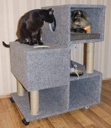 Làm thế nào để làm một ngôi nhà cho một con mèo bằng tay của chính bạn từng bước? 150+ (ảnh) bằng gỗ, bìa cứng, hộp, với một cái nạo