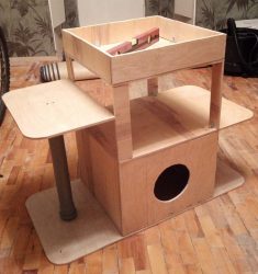 Как да си направим къща за котка със свои ръце стъпка по стъпка? 150+ (снимка) от дърво, картон, кутии, със скрепер