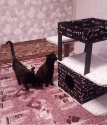 Hur man gör ett hus för en katt med egna händer steg för steg? 150 + (foto) av trä, kartong, lådor, med en skrapa
